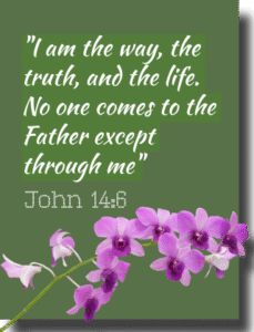 Hamilton Mar Thoma Church